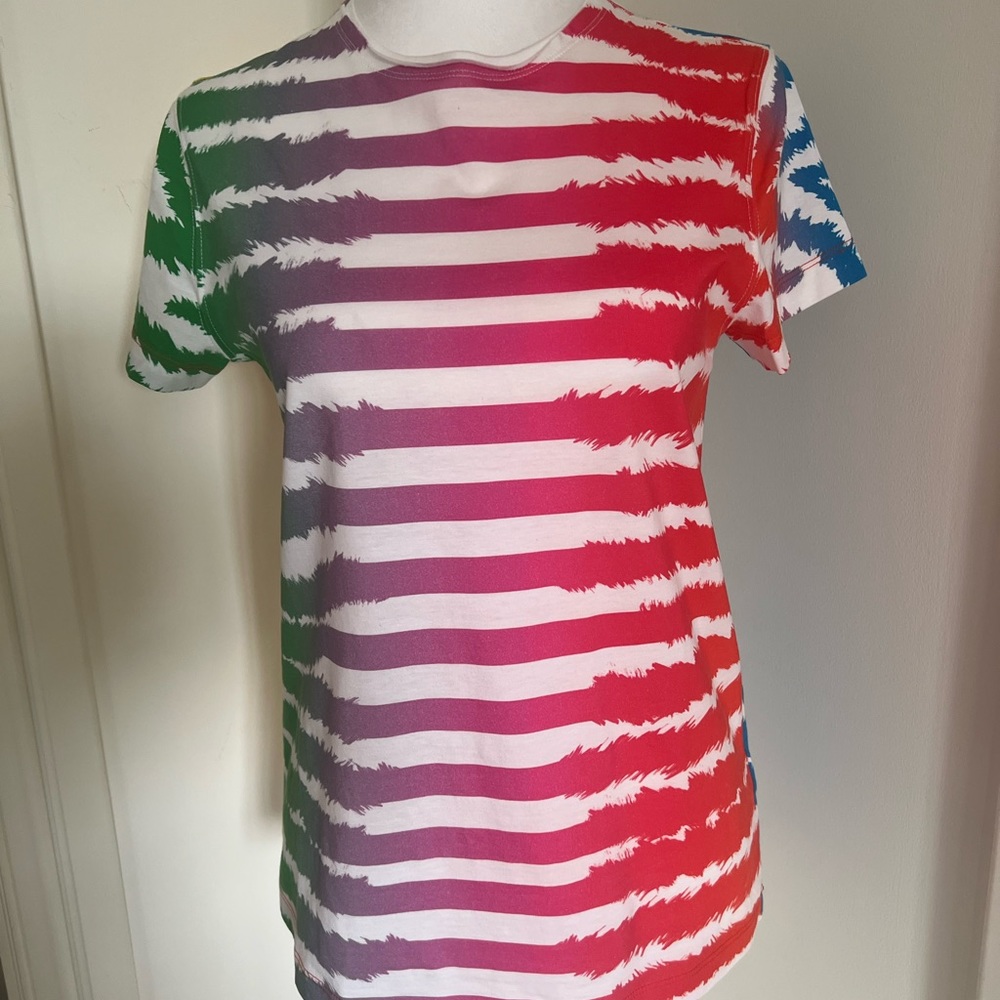 Escada Tee - Rainbow Zebra Striped Short-Sleeves